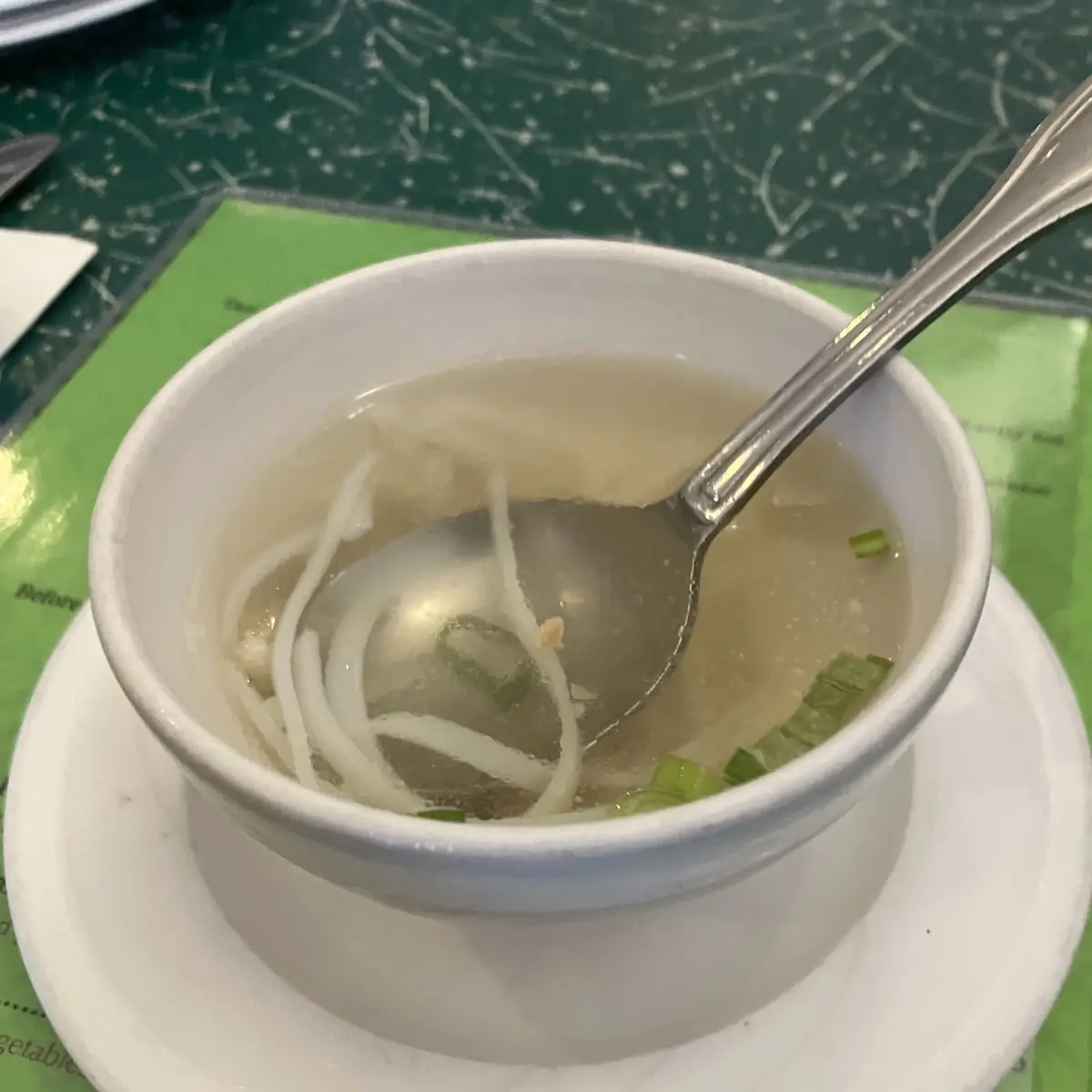 Chicken Noodle Soup