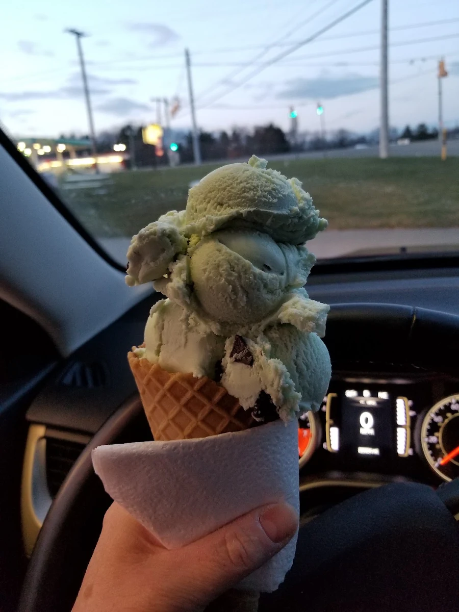 Mint Chocolate Chip Ice Cream Cone