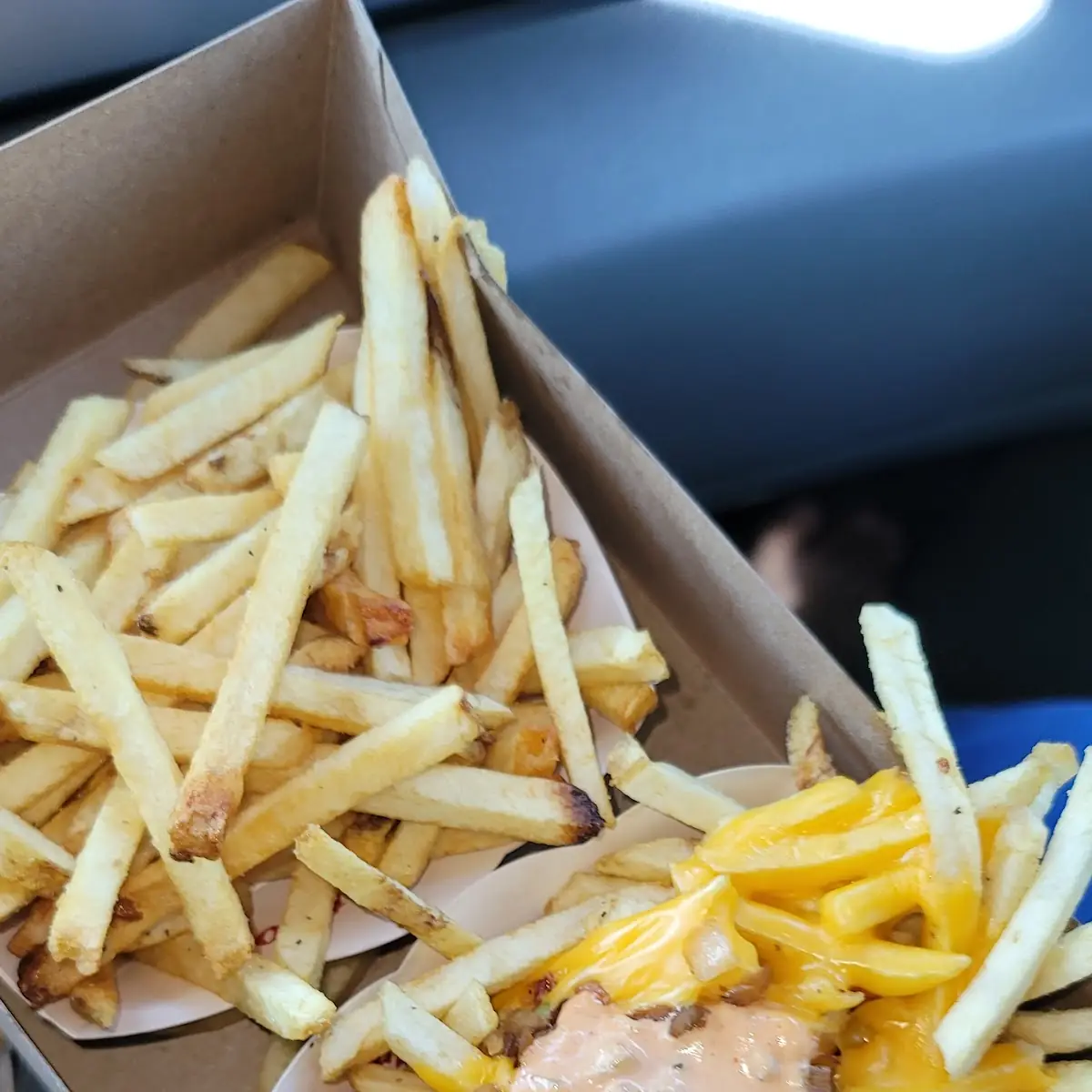 Animal Style Fries