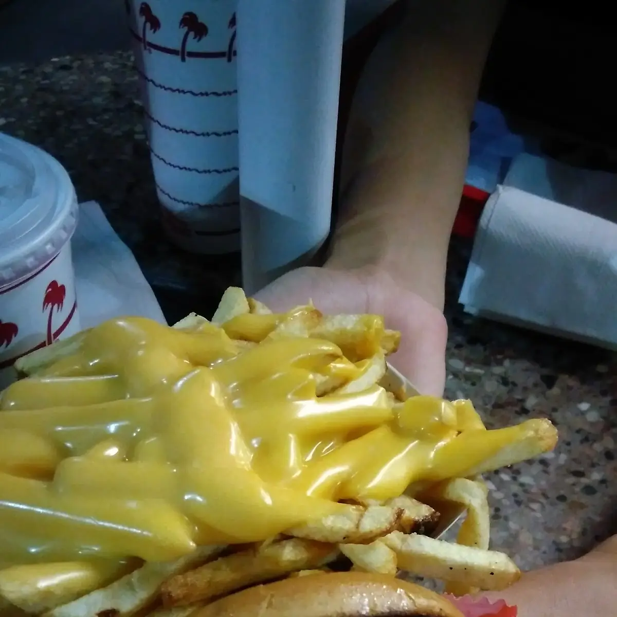 Double-Double Y Cheese Fries