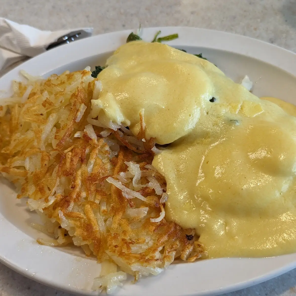 Egg Denver Omelette