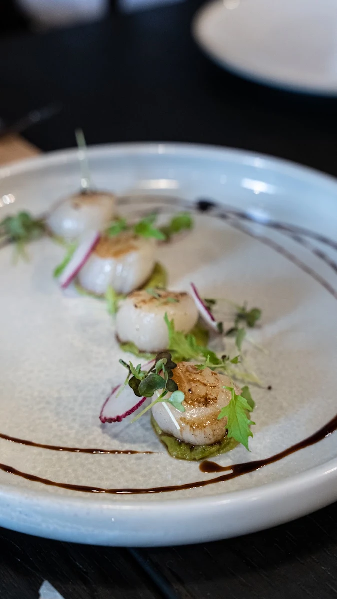 Scallops, 500 Degrees Restaurant Cronulla
