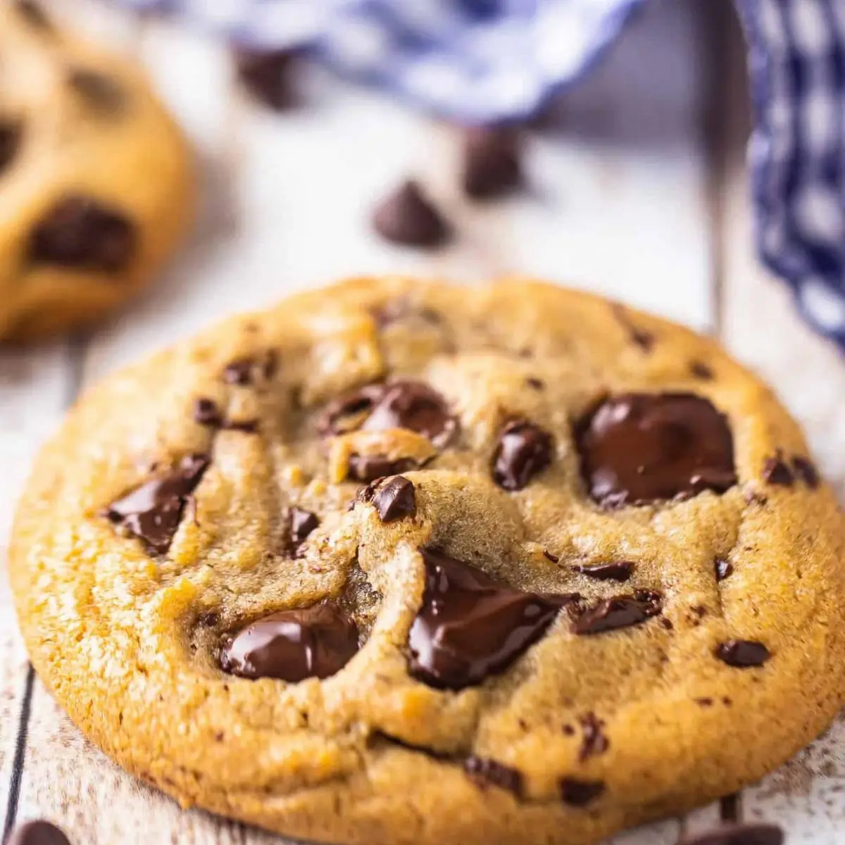 Jumbo Chocolate Chip Cookie