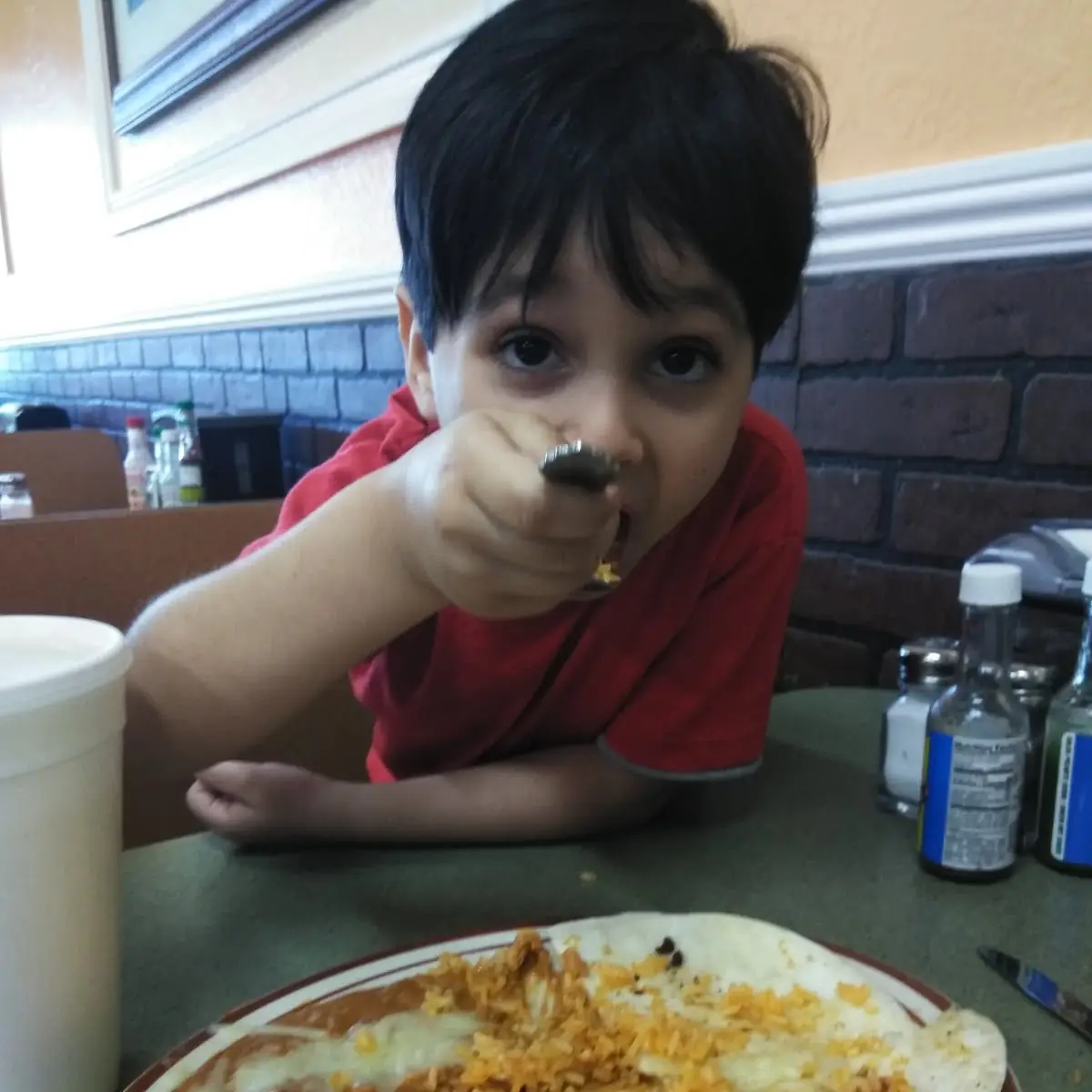 Chicken Quesadilla Plate
