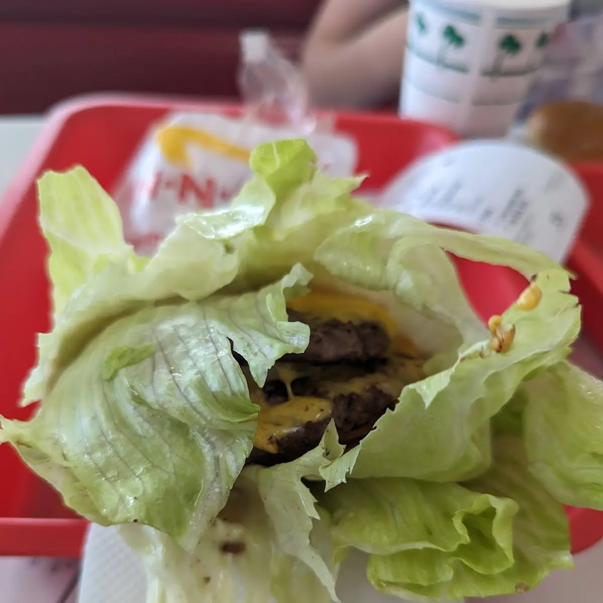 3by3 Protein Style with Whole Grilled Onions