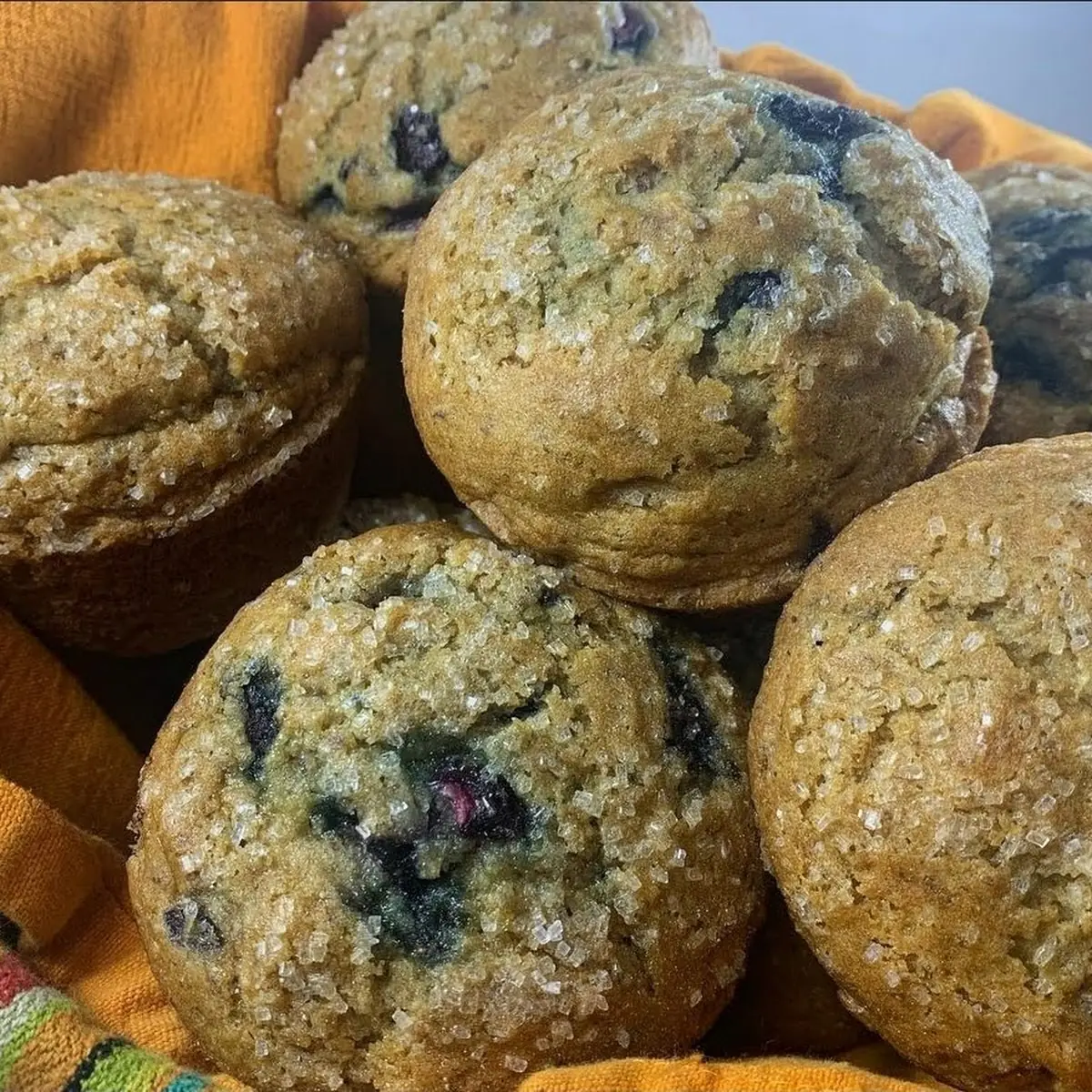 Blueberry Muffin