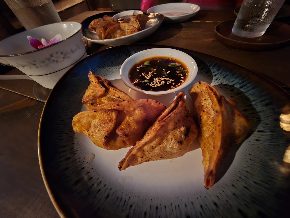 Pan-Fried Dumplings