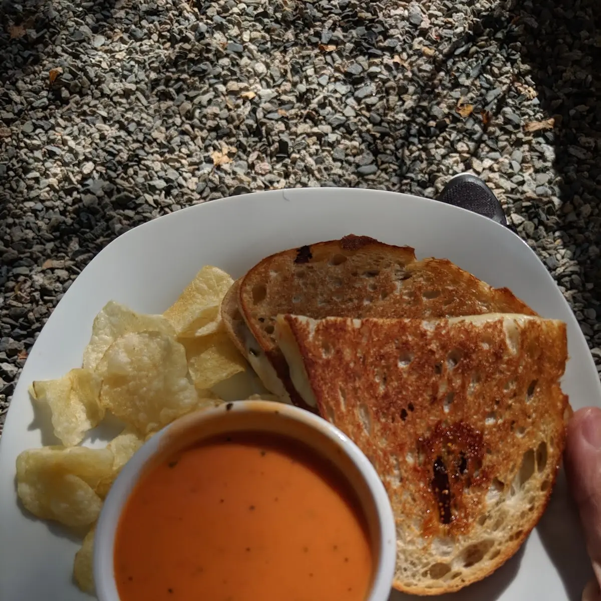 Grilled Cheese Sandwich