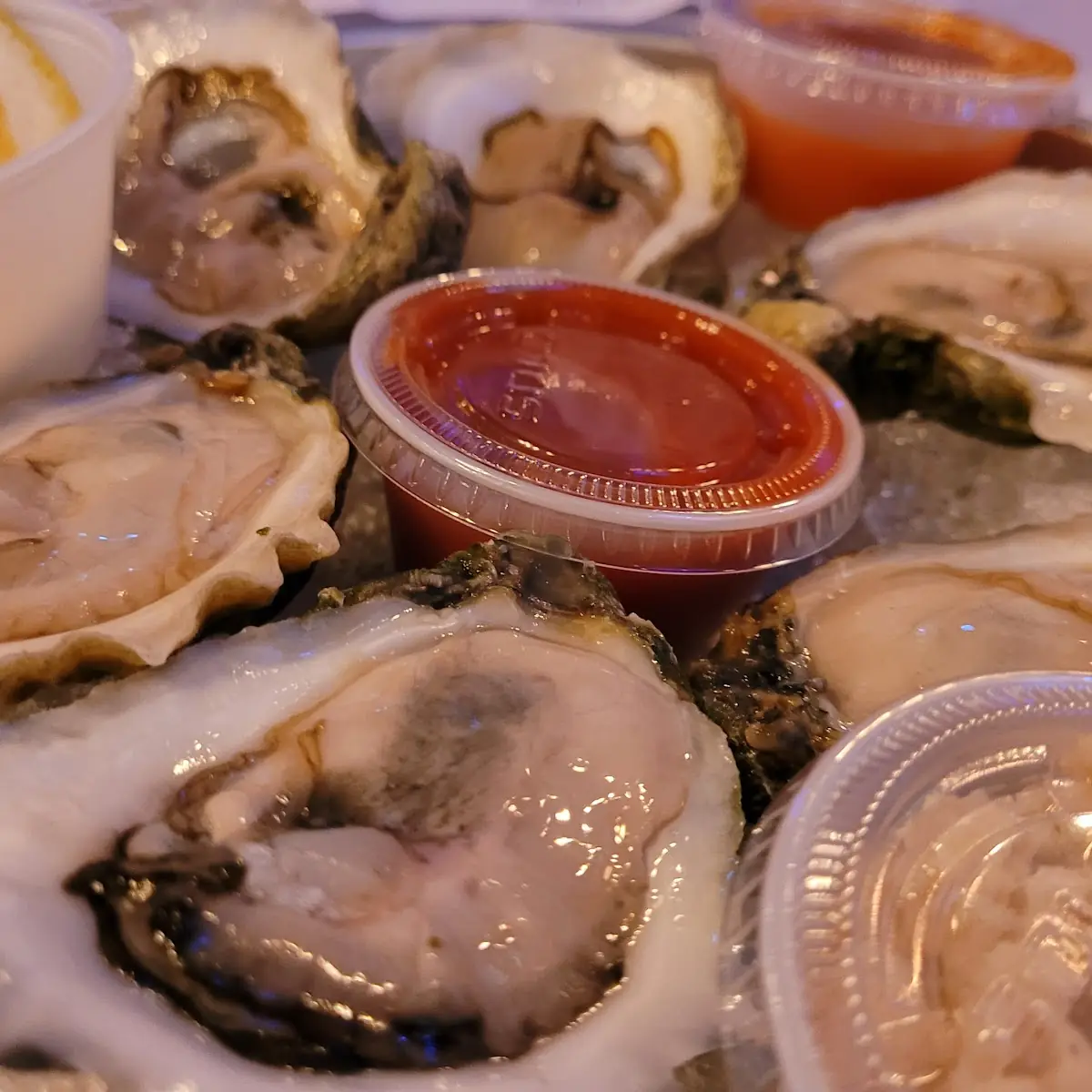 Half Dozen Raw Oyster