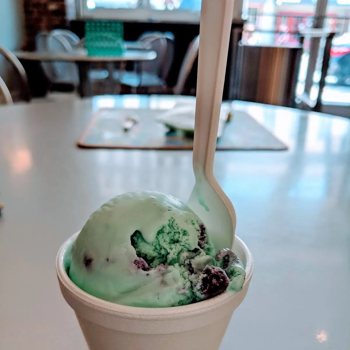 Mint Chocolate Chip Ice Cream