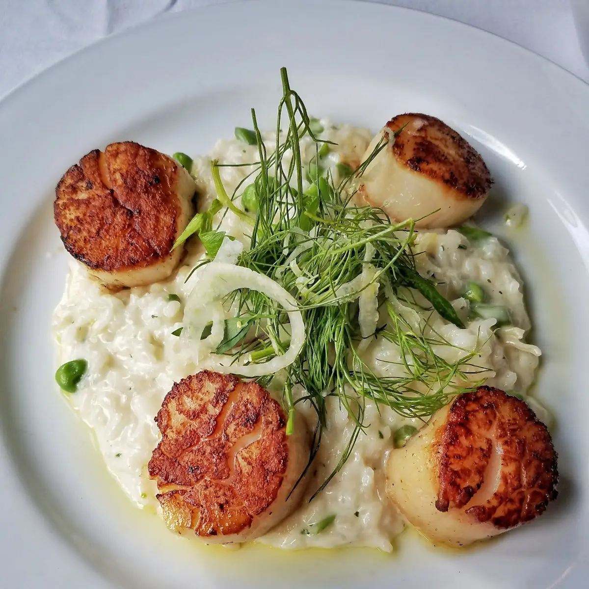 Sea Scallops and Risotto