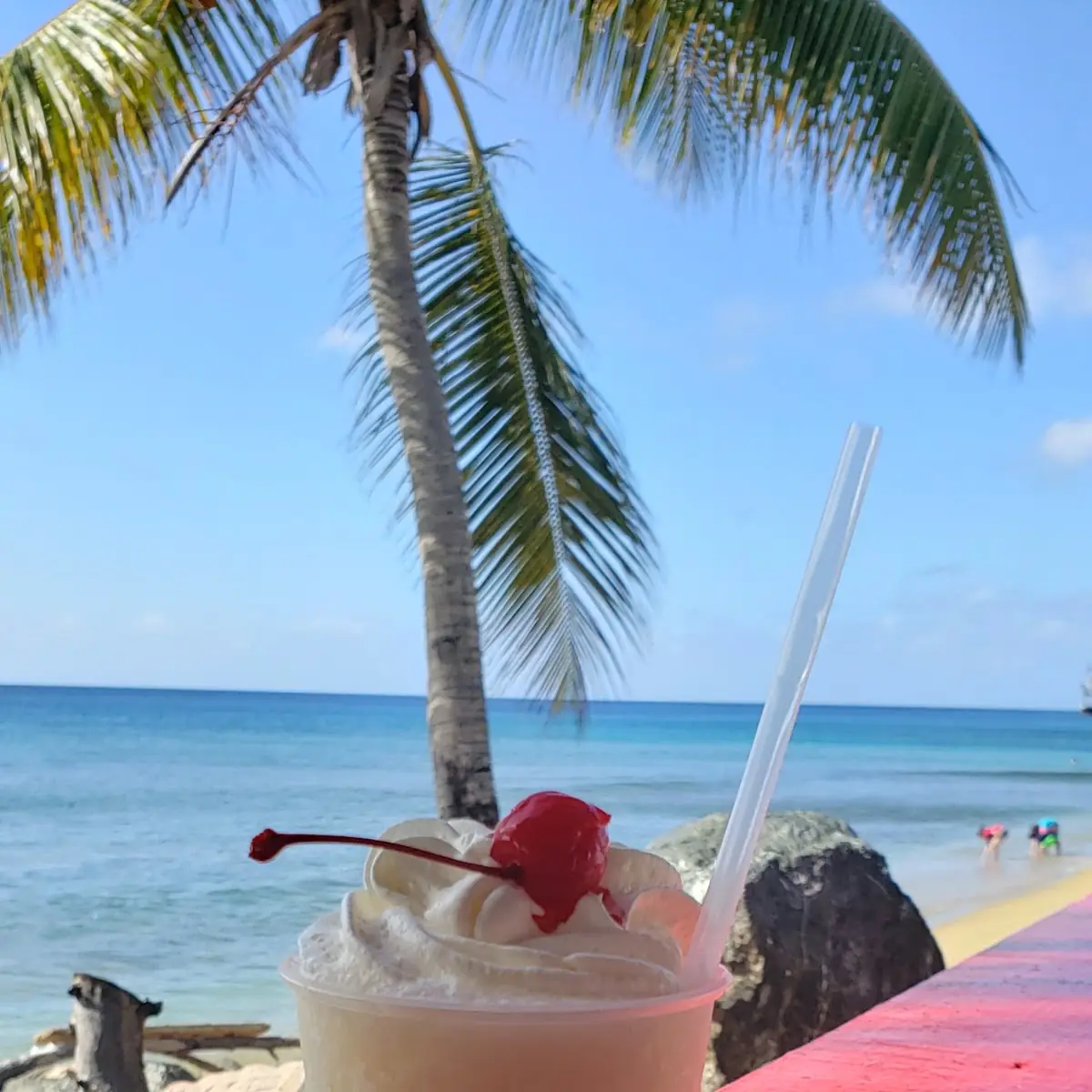 Virgin Piña Colada