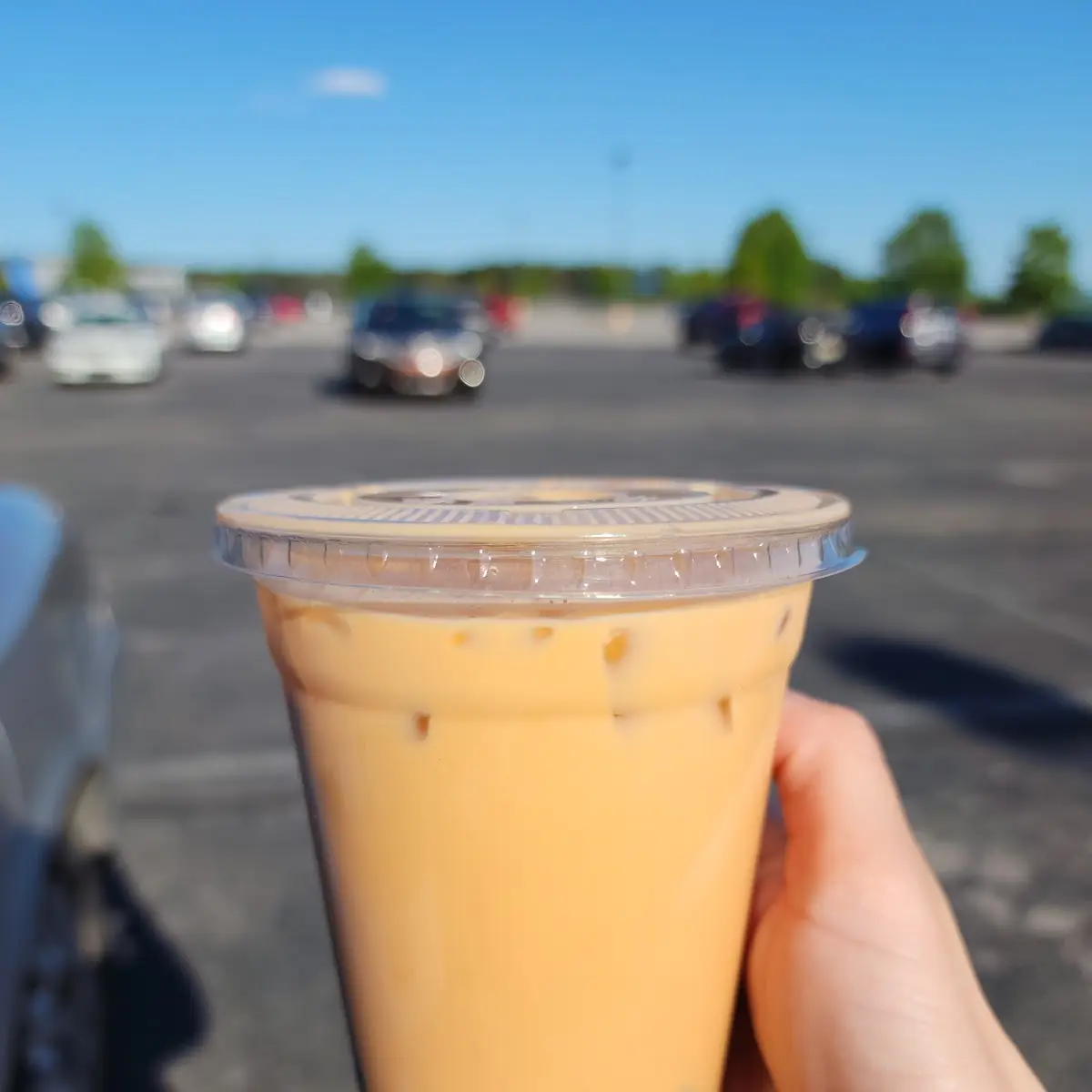Bubble Tea Thai Tea Flavor with Black Tapioca Pearls