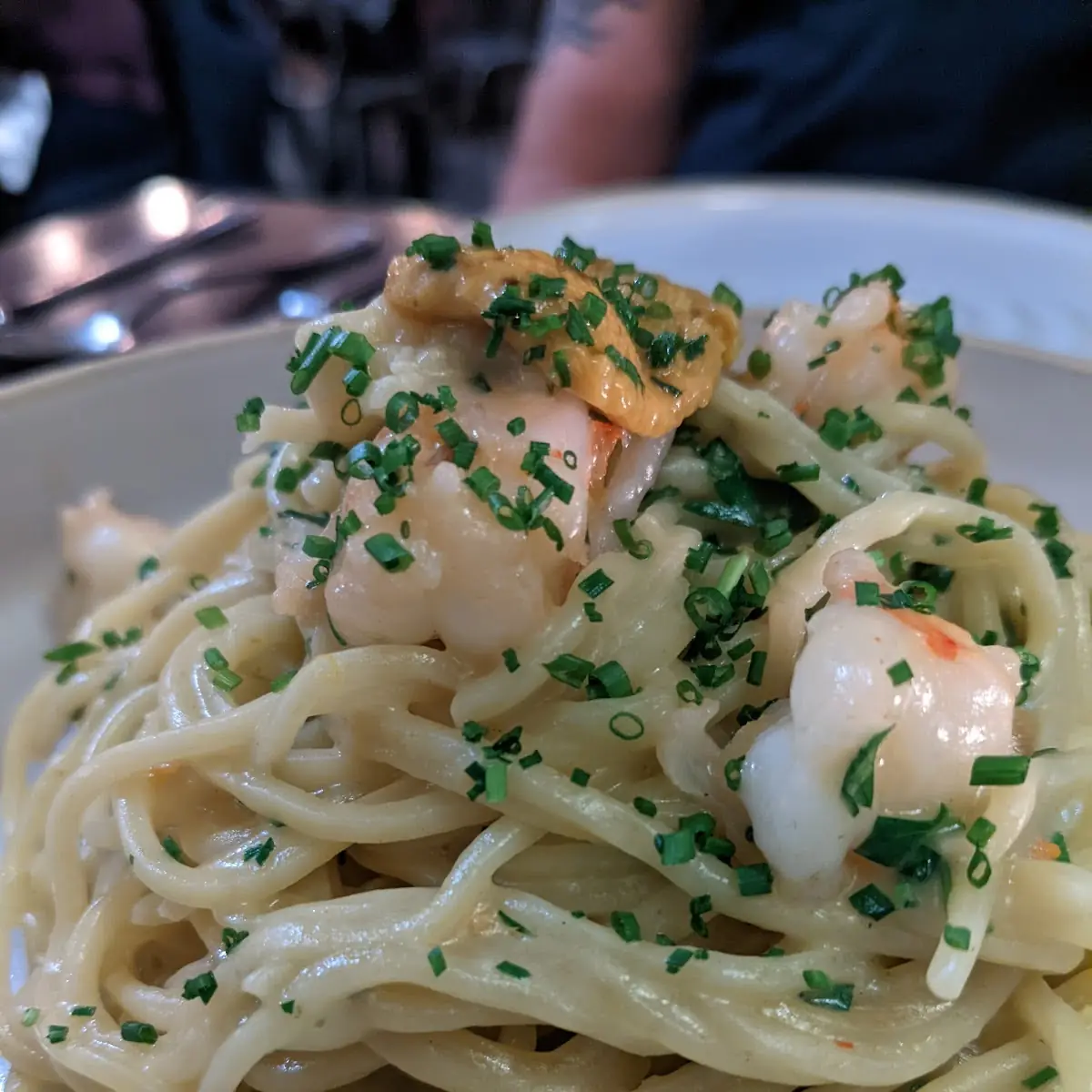 Shrimp Alfredo