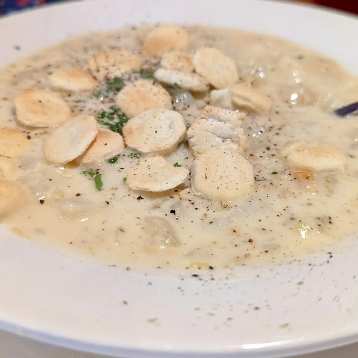 Clam Chowder Bowl