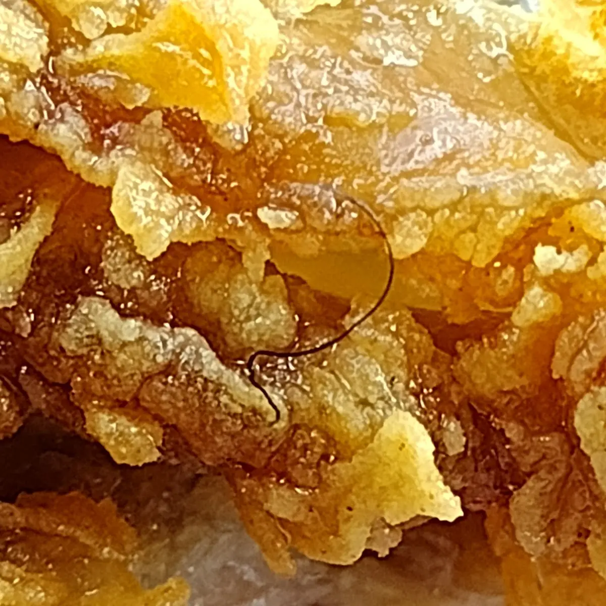 Hair in Chicken