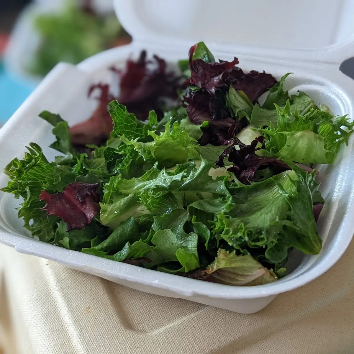 Salad