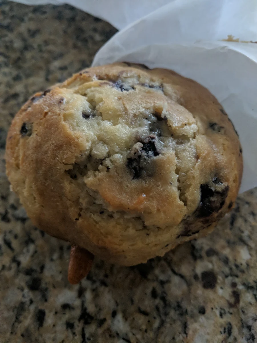 Chocolate Chip
