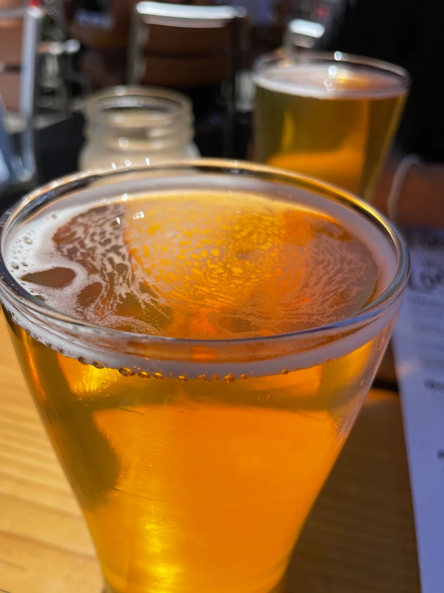 New Growth Pale Ale Jug