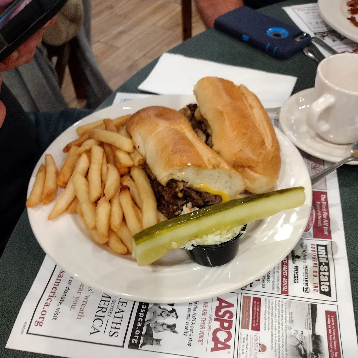 Cheese Steak with Fries