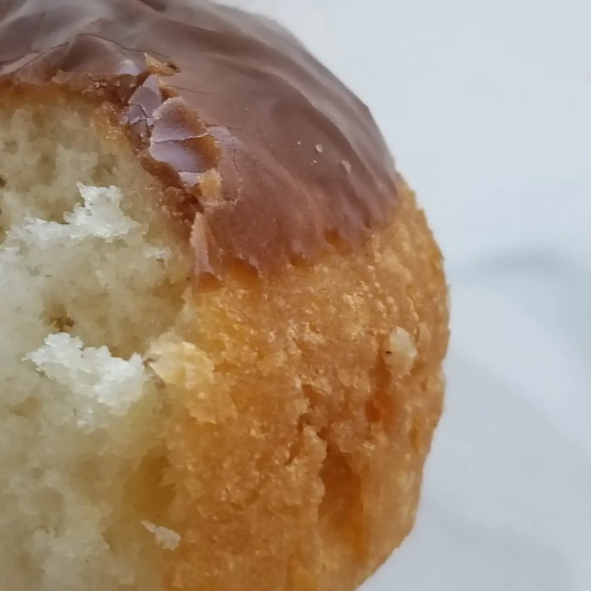 Cake Donut with Chocolate Frosting