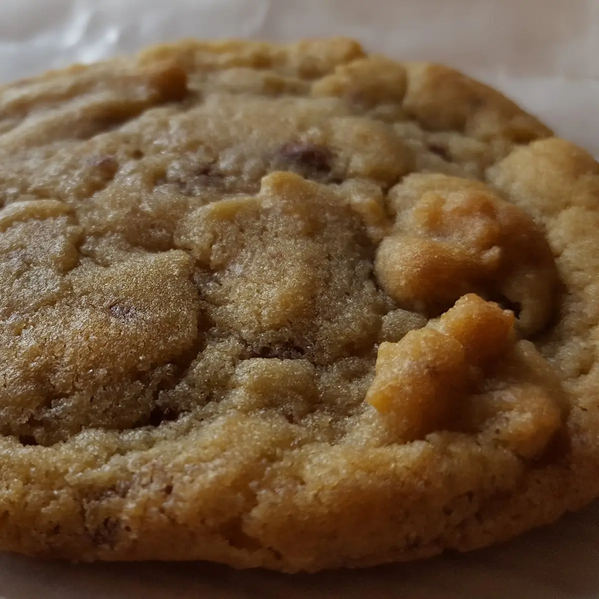 Peanut Butter Cookie