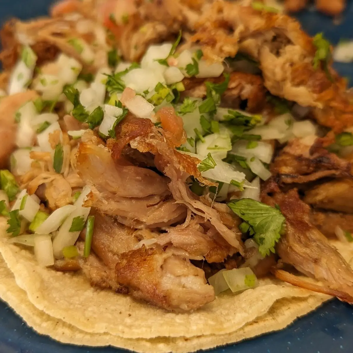 Carnitas Pork