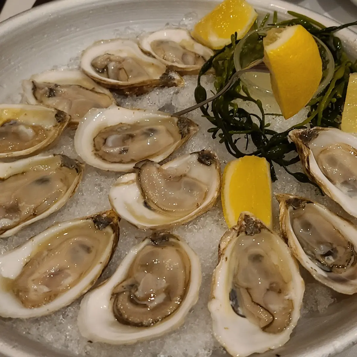 Raw Oysters