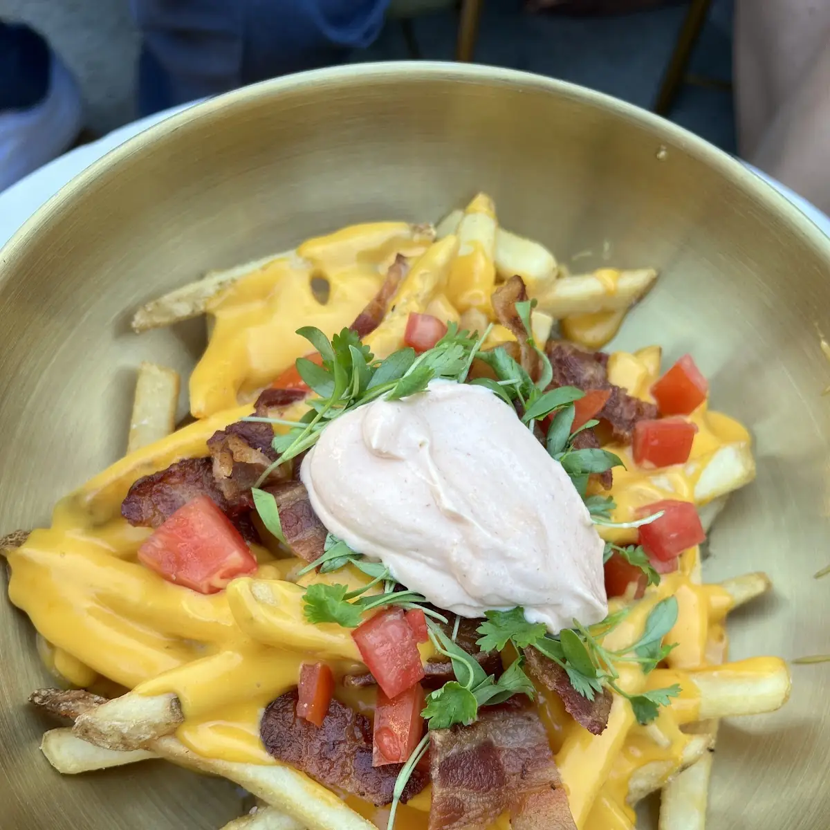 Loaded Fries