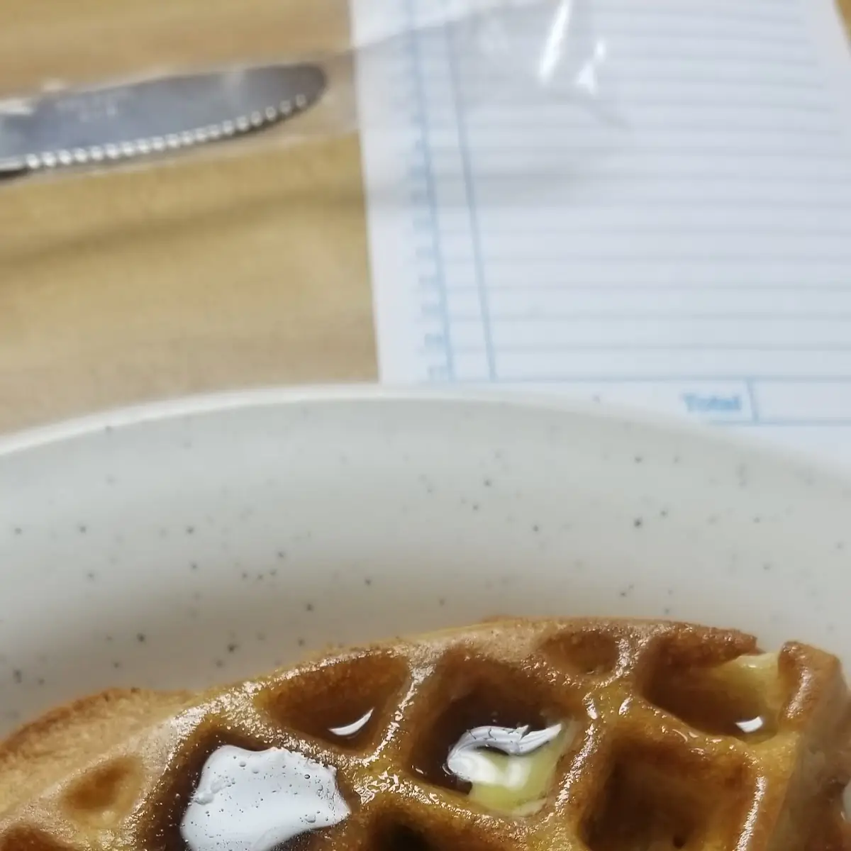 1 2 Chocolate Chip Waffle