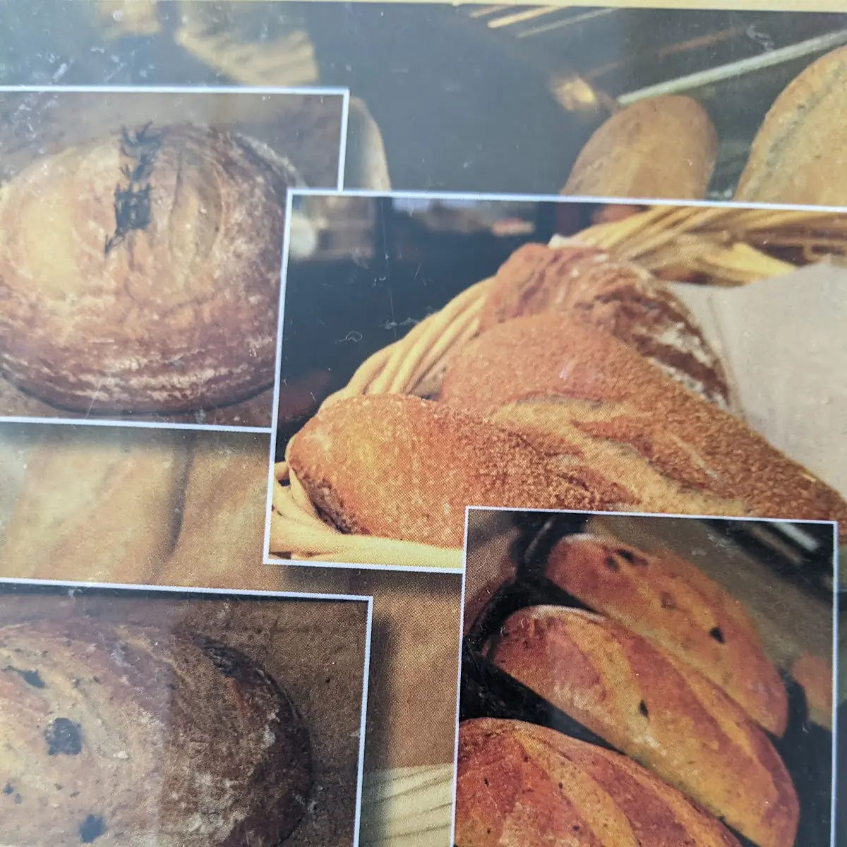 Selection of Freshly Baked Breads
