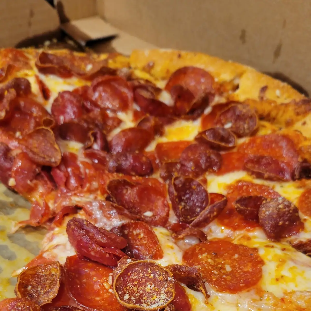 Pepperoni Lover's Melt