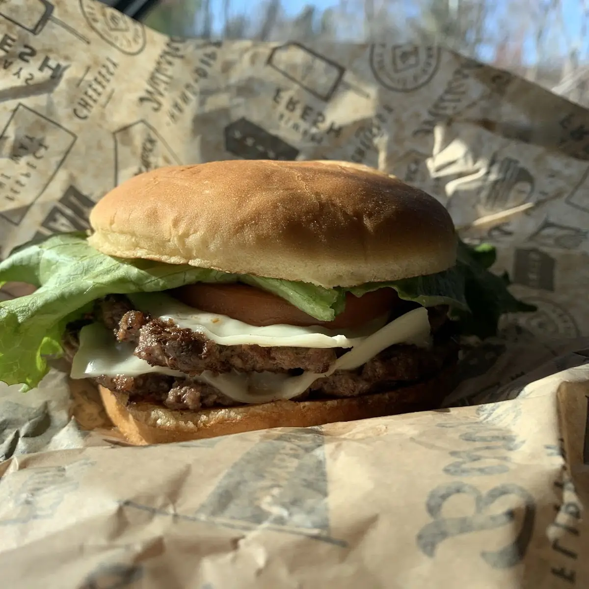 Double Cheeseburger