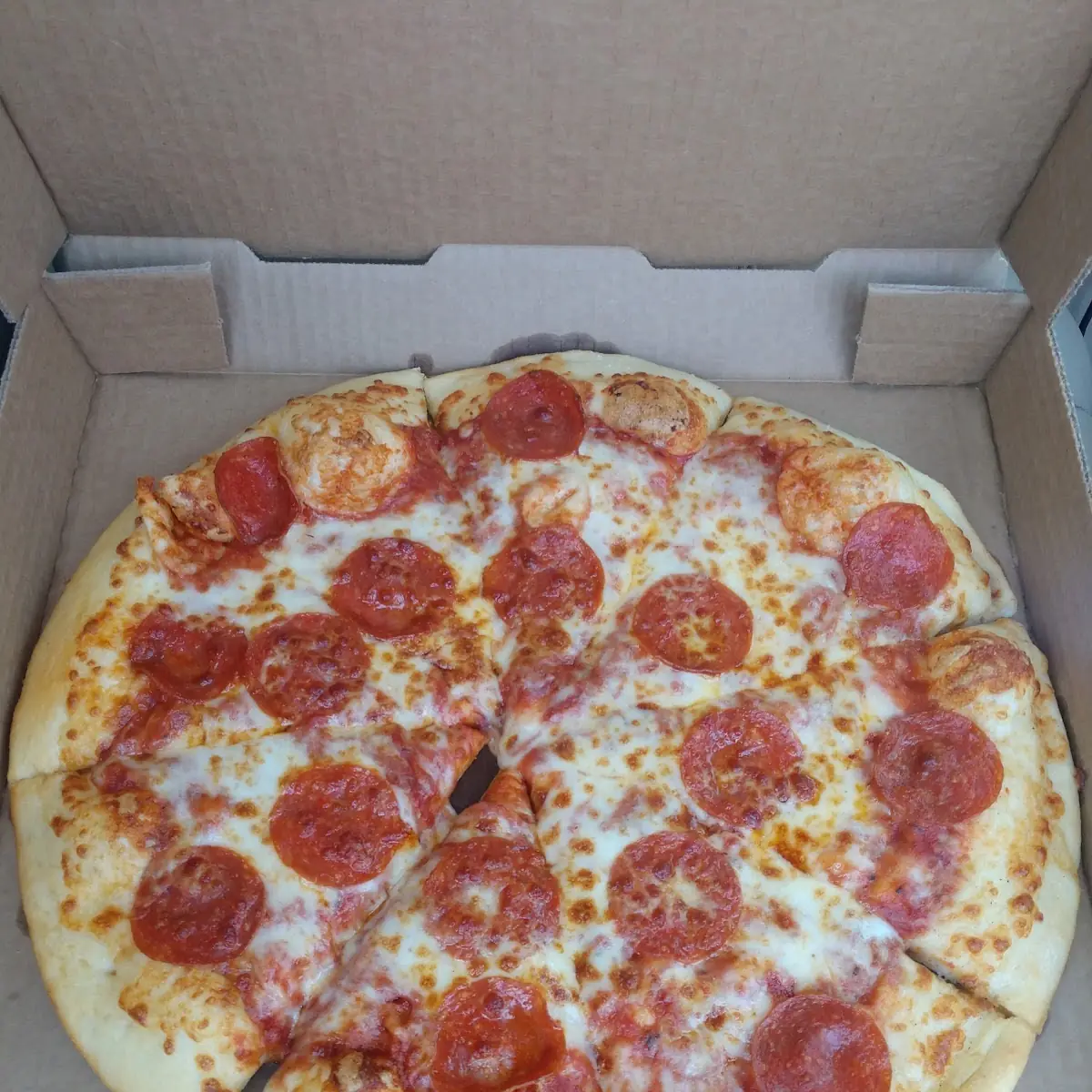 Large Pepperoni Pizza with Extra Cheese