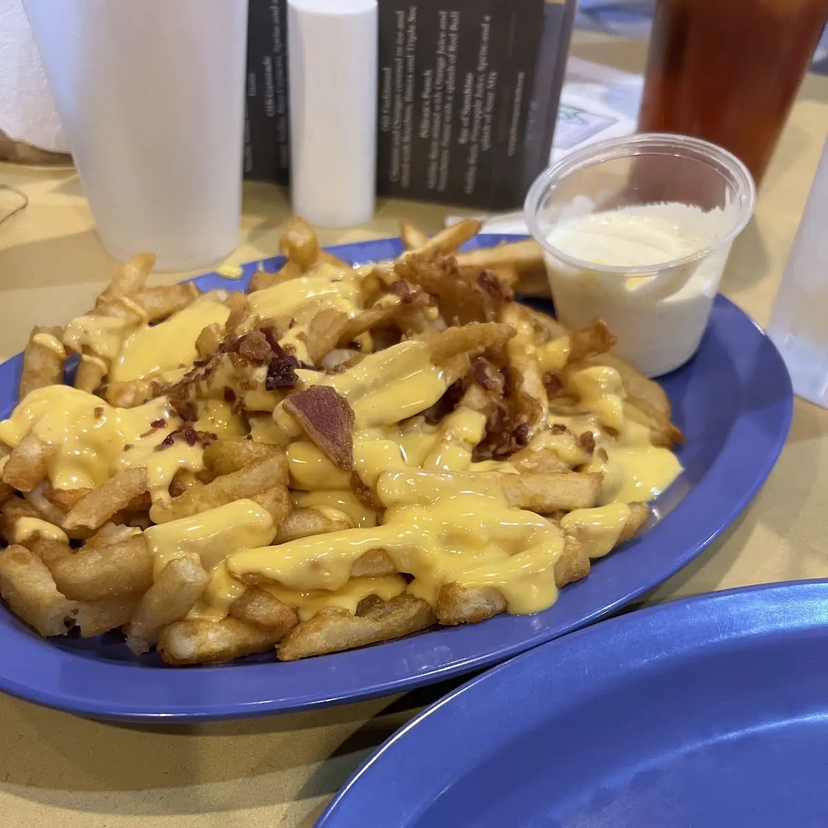 Cheese Fries with Bacon
