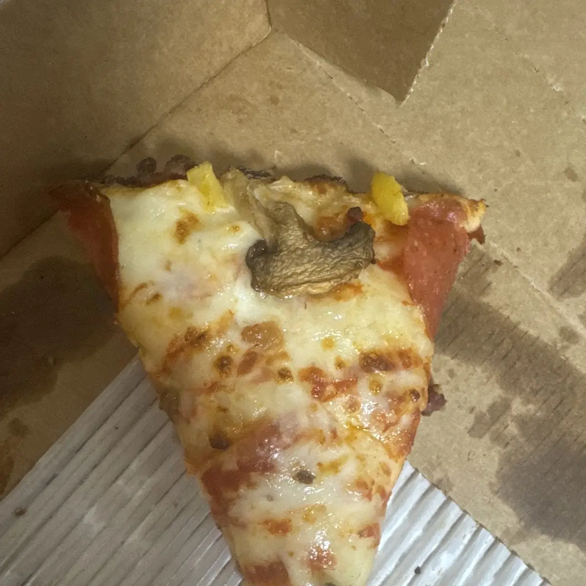 Slice of Pizza