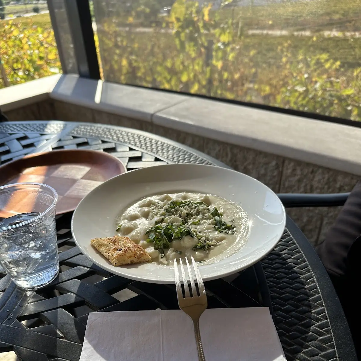 Gnocchi Gorgonzola