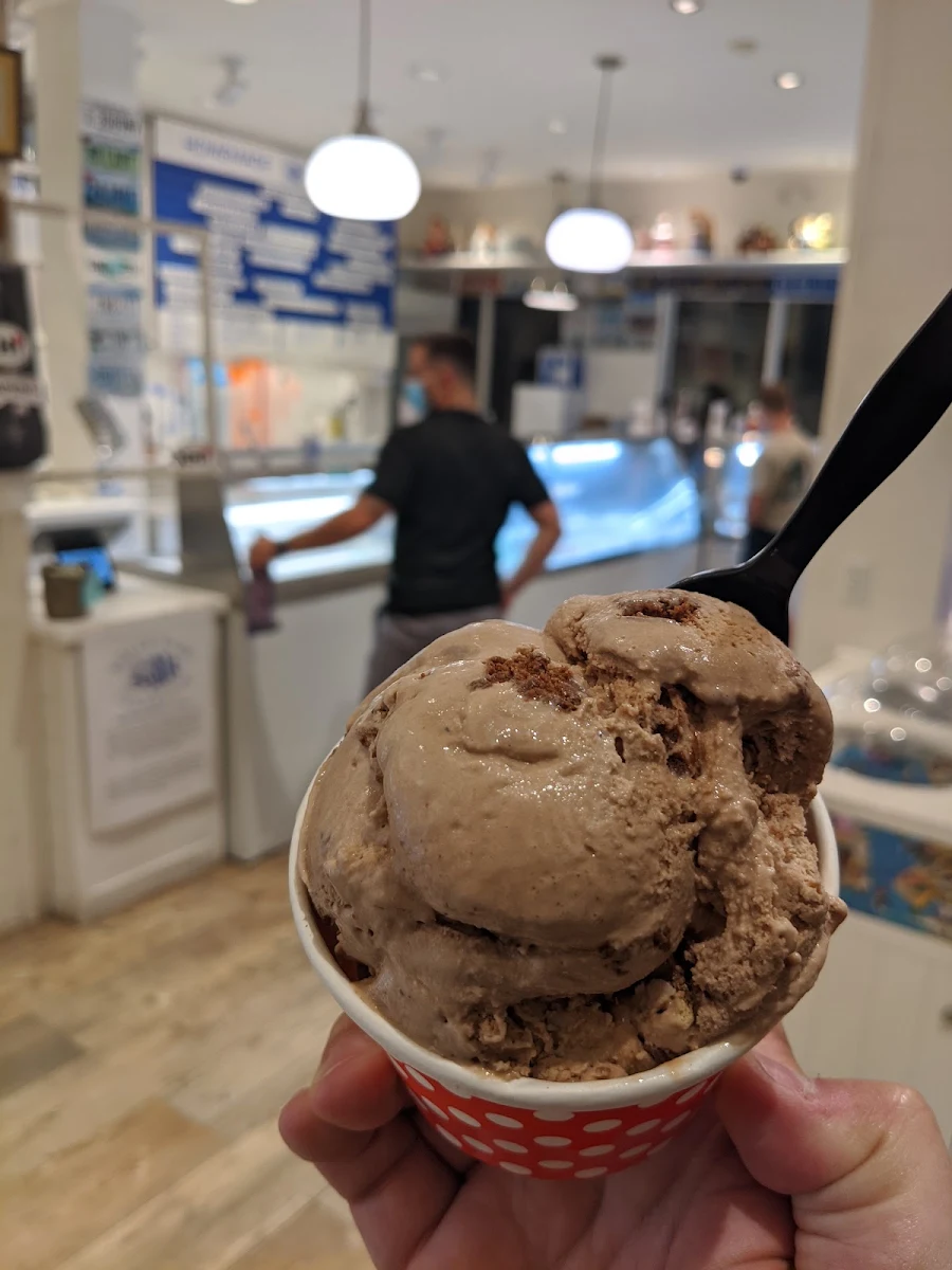 Chocolate Ice Cream in Cup