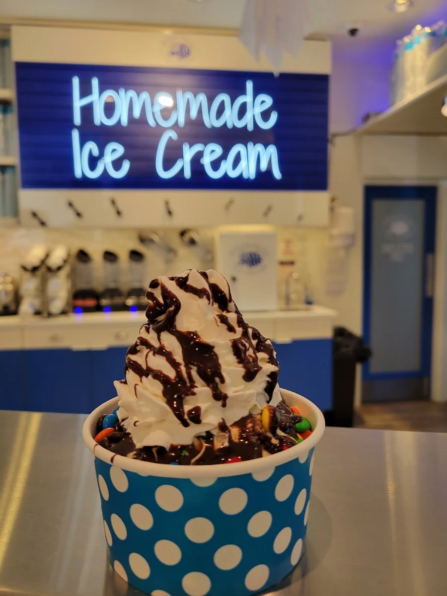 Vanilla Ice Cream