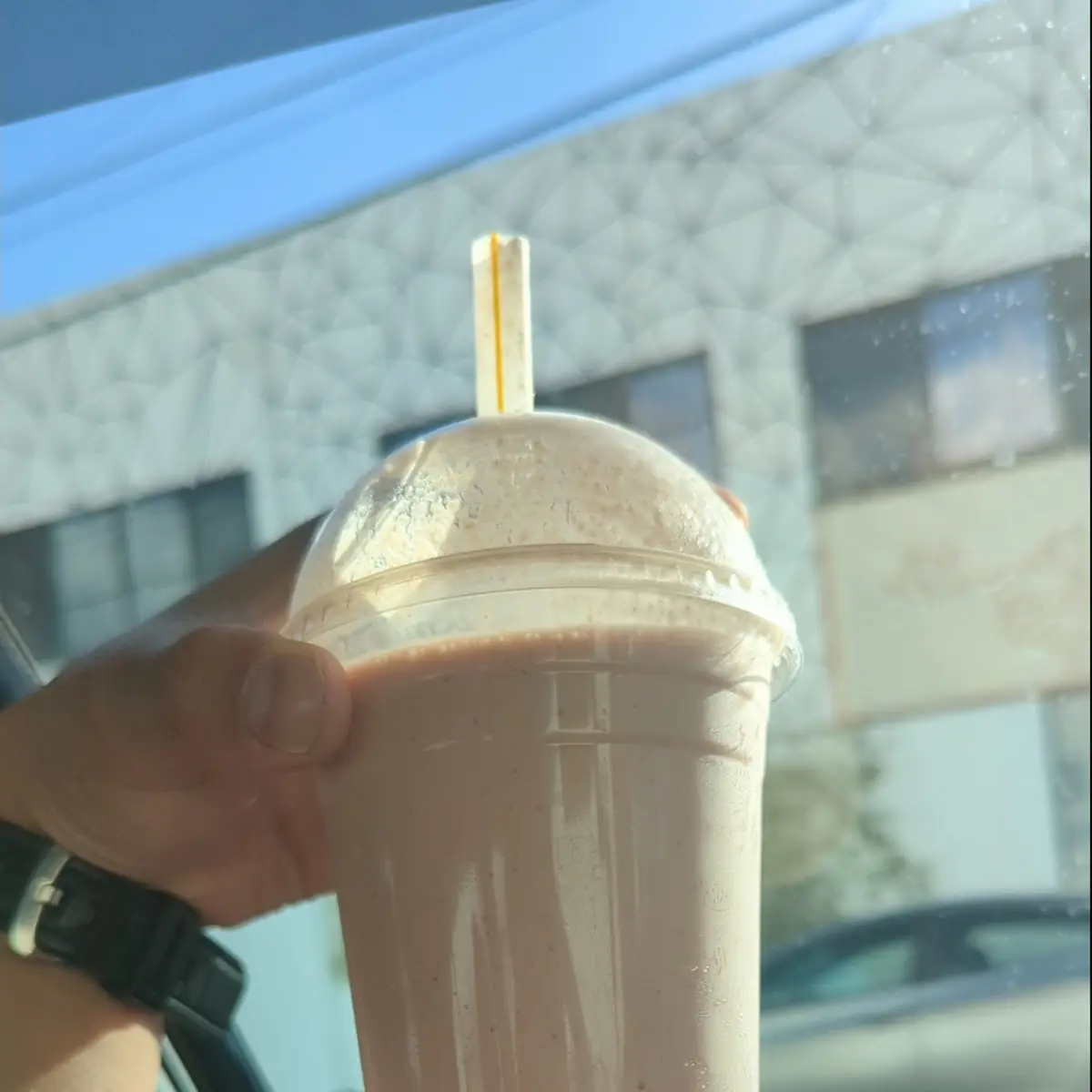 Small Malteadas Shakes