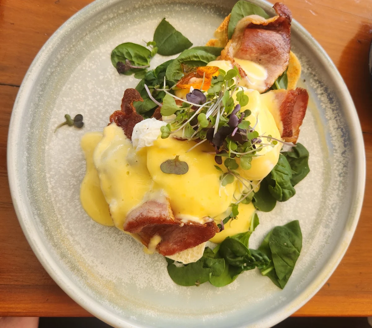 Eggs Benedict, Salt Cafe Urangan