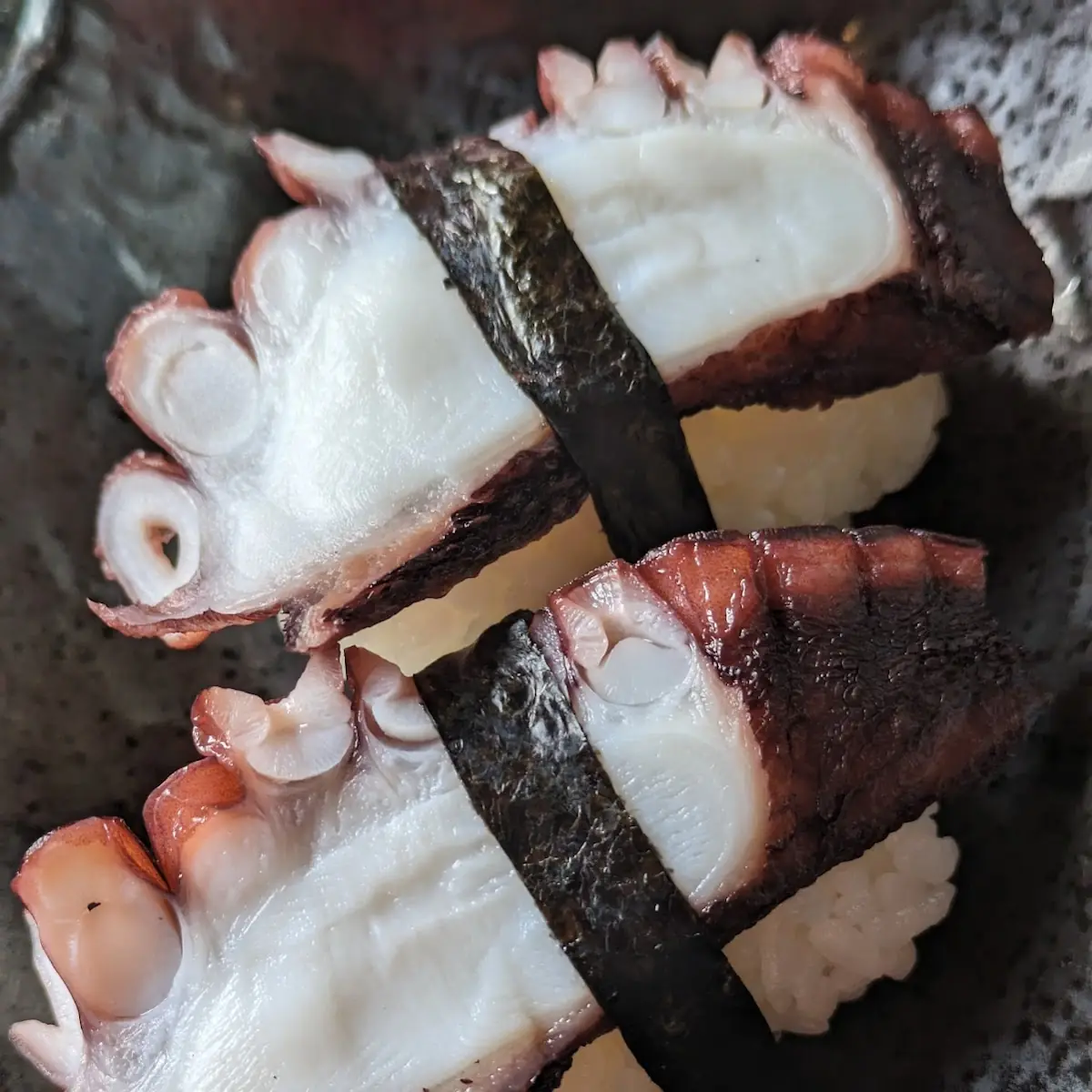Tako Octopus