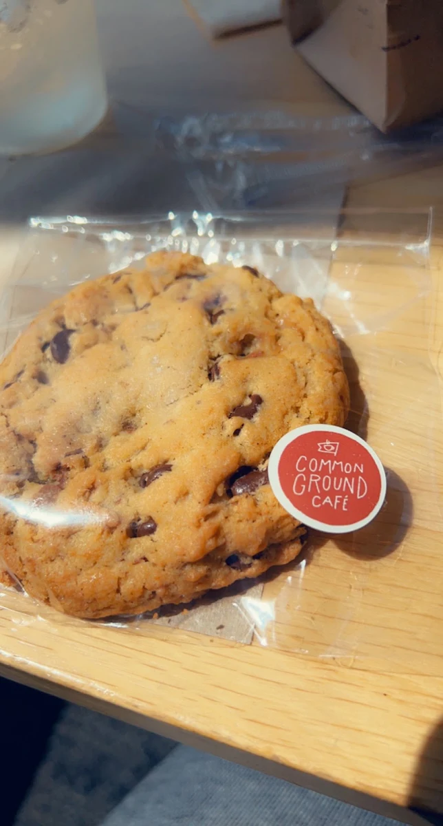 Chocolate Chip Cookie