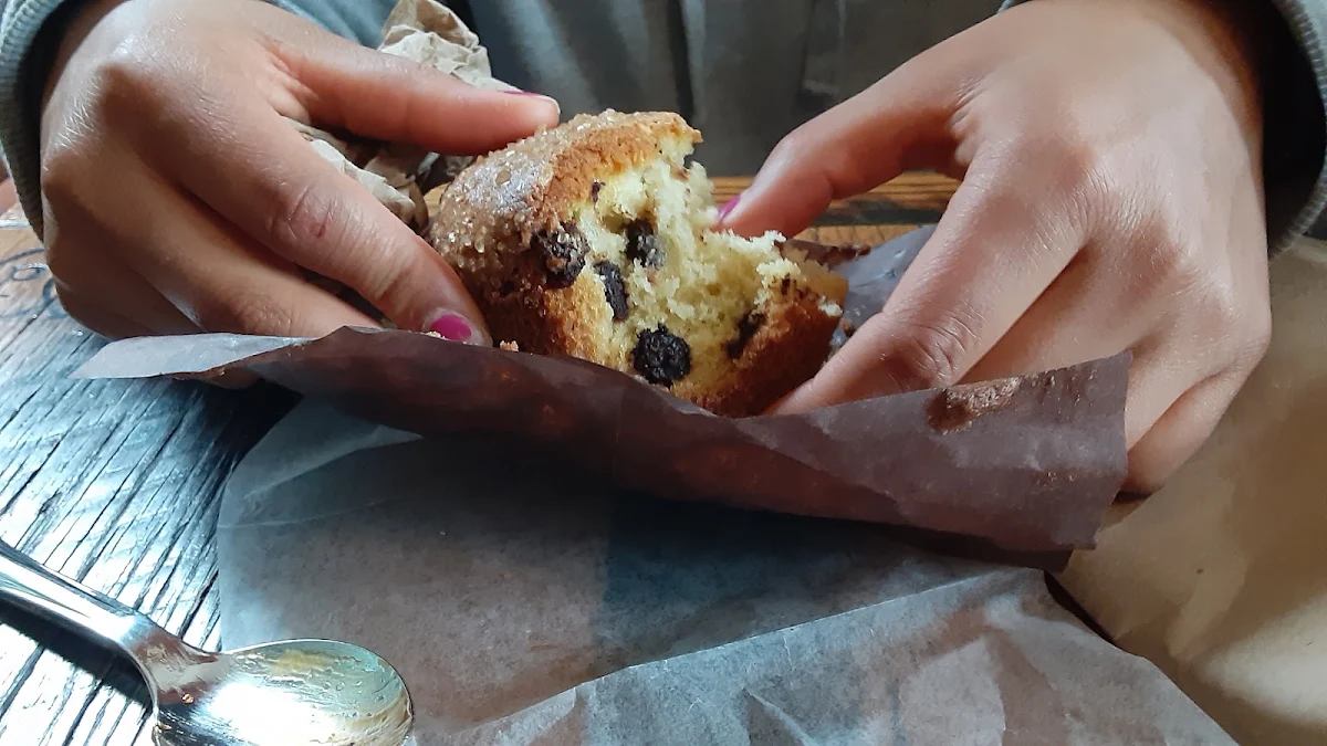 Chocolate Chip Muffin