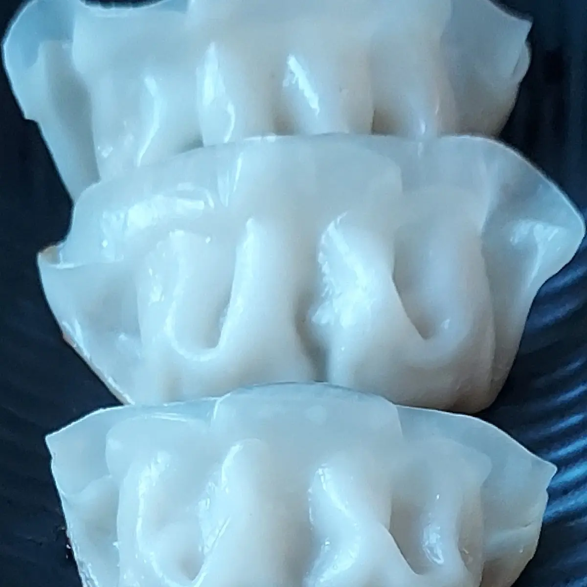 Pork Dumplings