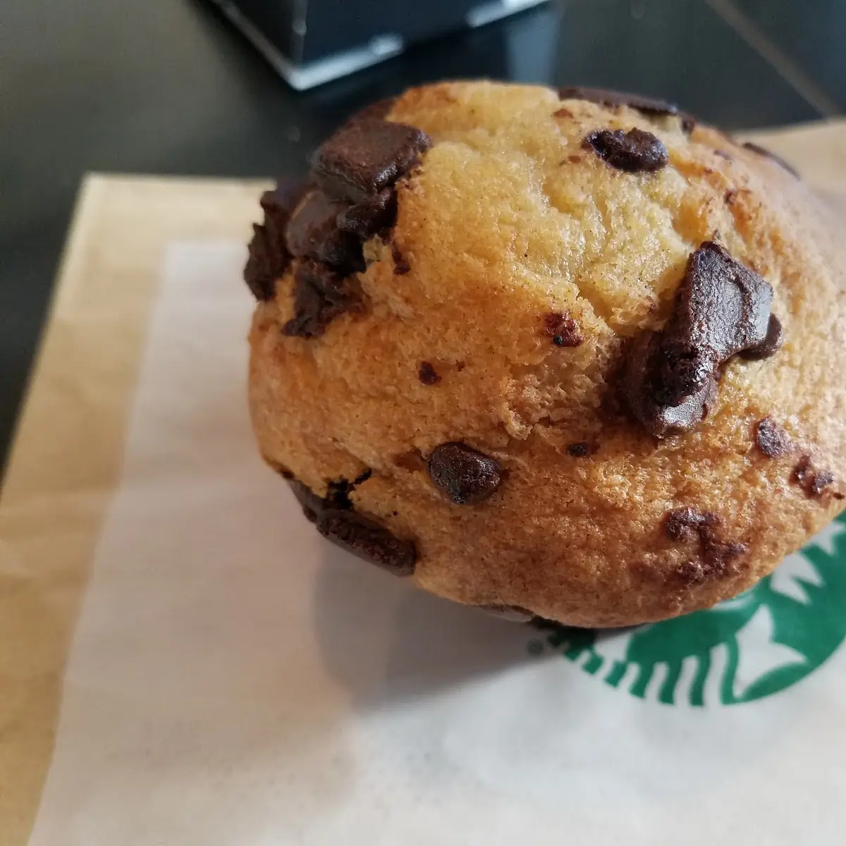 Chocolate Chip Muffin