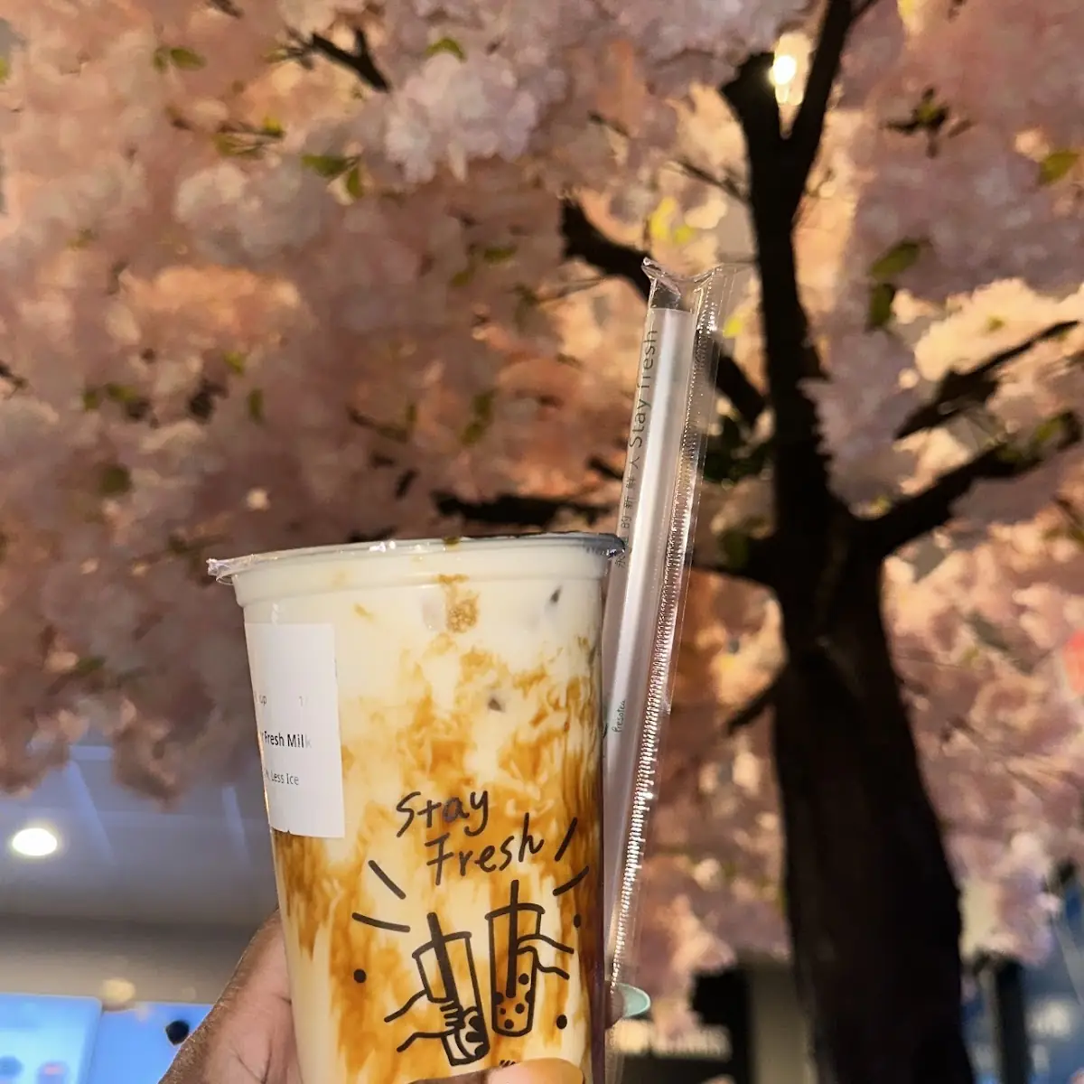 Cherry Blossom