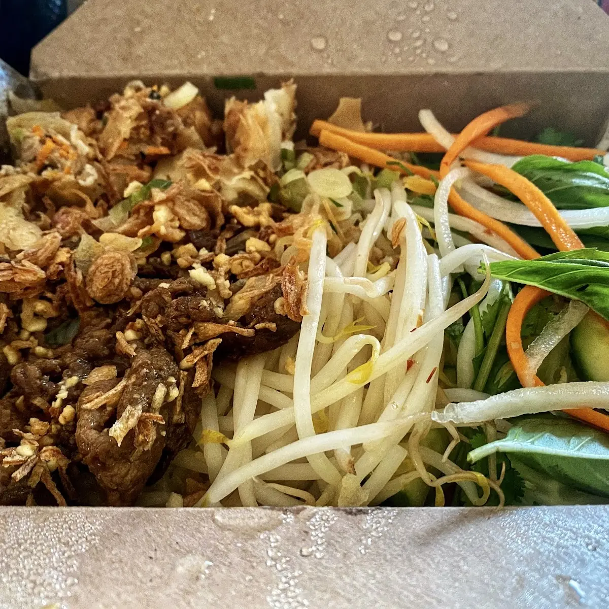 Vermicelli Egg Rolls and Beef