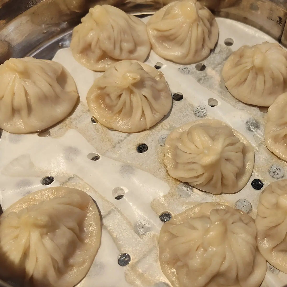 Steamed Dumplings