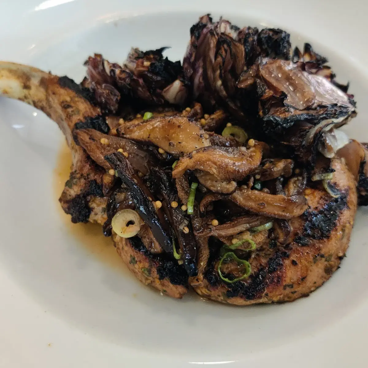 Grilled Bone in Pork Chop